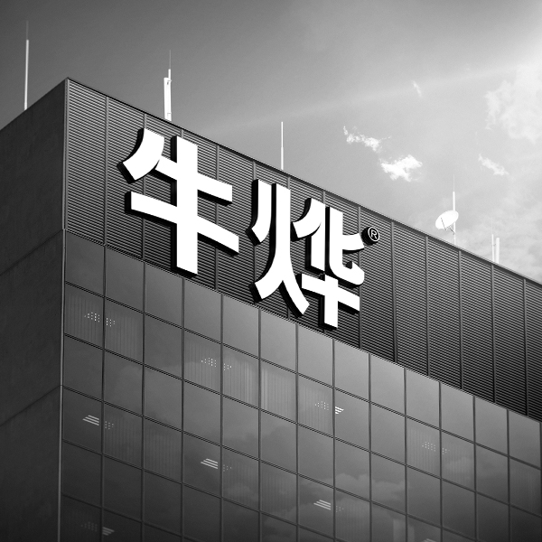 牛燁：打造手機配件創(chuàng)新型品牌   （深圳）